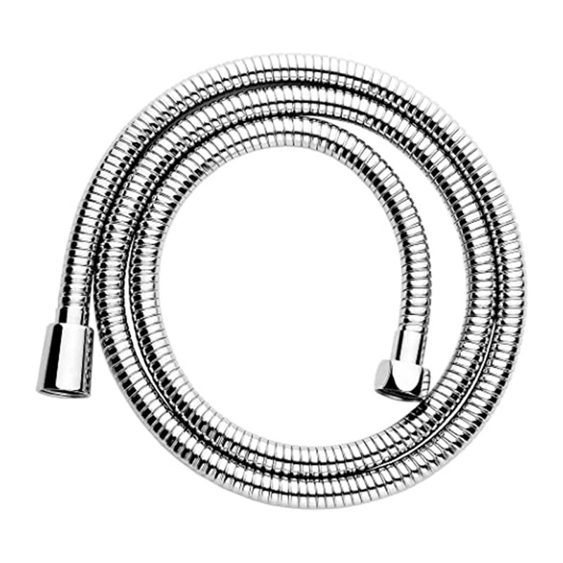 Stainless Steel Handheld Head Hose